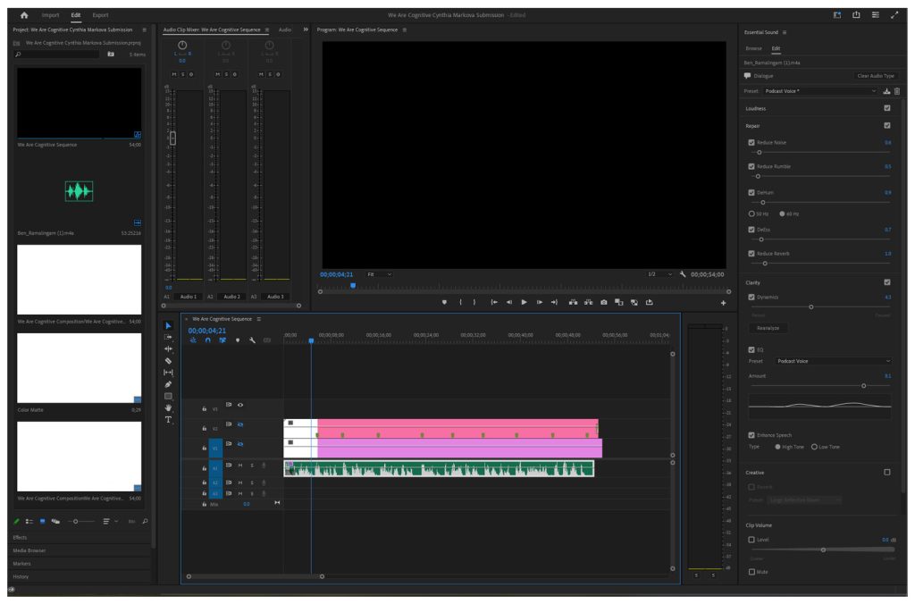 We Are Cognitive Audio Refinement